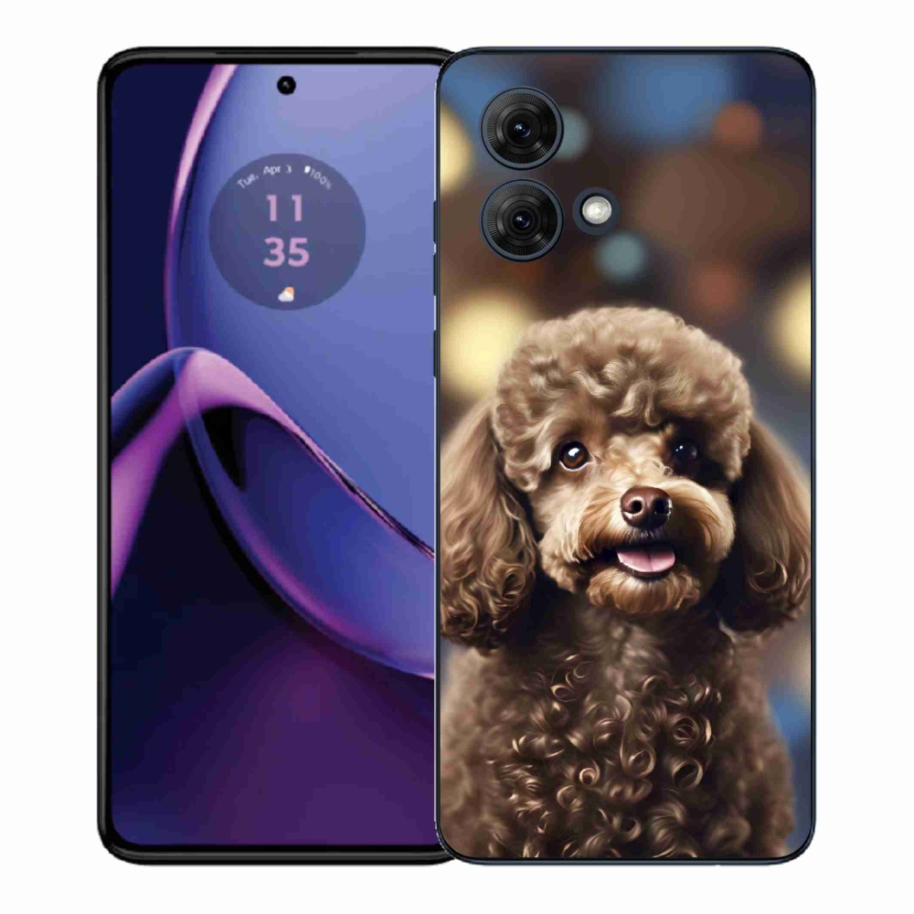 Zselés borítás mmCase Motorola Moto G84 5G - aranyos uszkárhoz