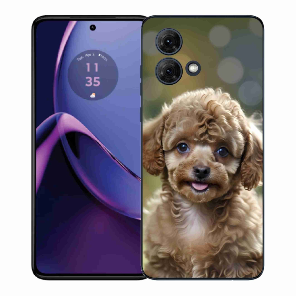 Zselés borítás mmCase Motorola Moto G84 5G - aranyos uszkárhoz