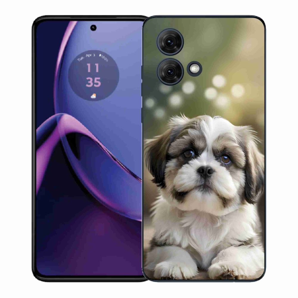 Gél borítás mmCase a Motorola Moto G84 5G-hez - aranyos shih-tzu