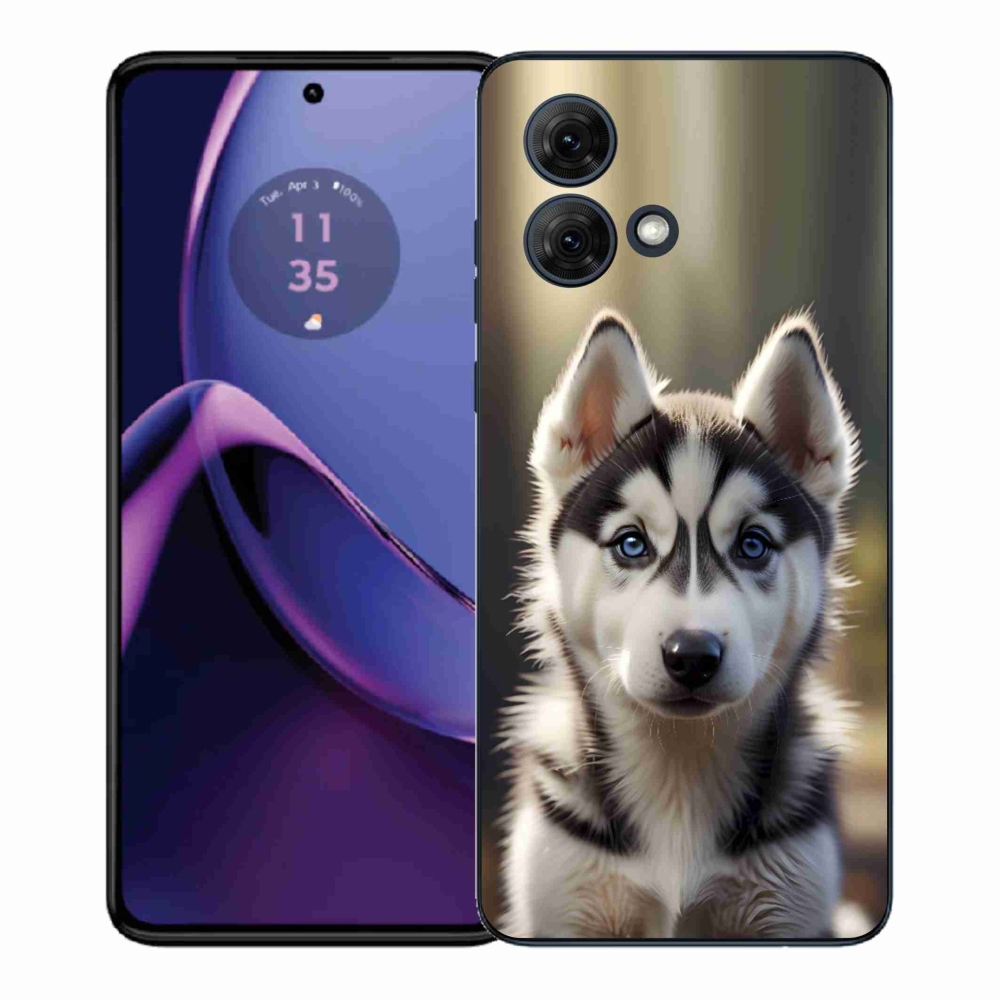 Zselés borítás mmCase Motorola Moto G84 5G - aranyos szibériai huskyhoz