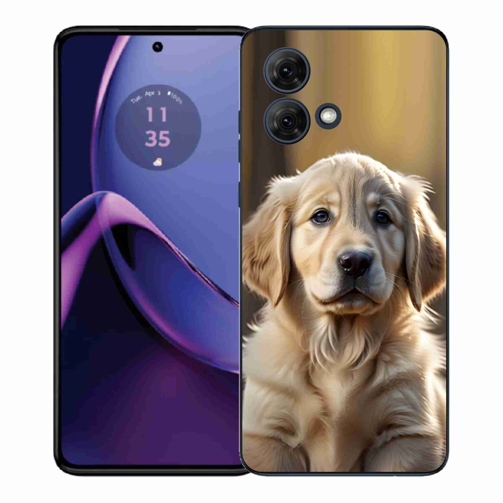 Gél borítás mmCase Motorola Moto G84 5G - aranyos arany retrieverhez
