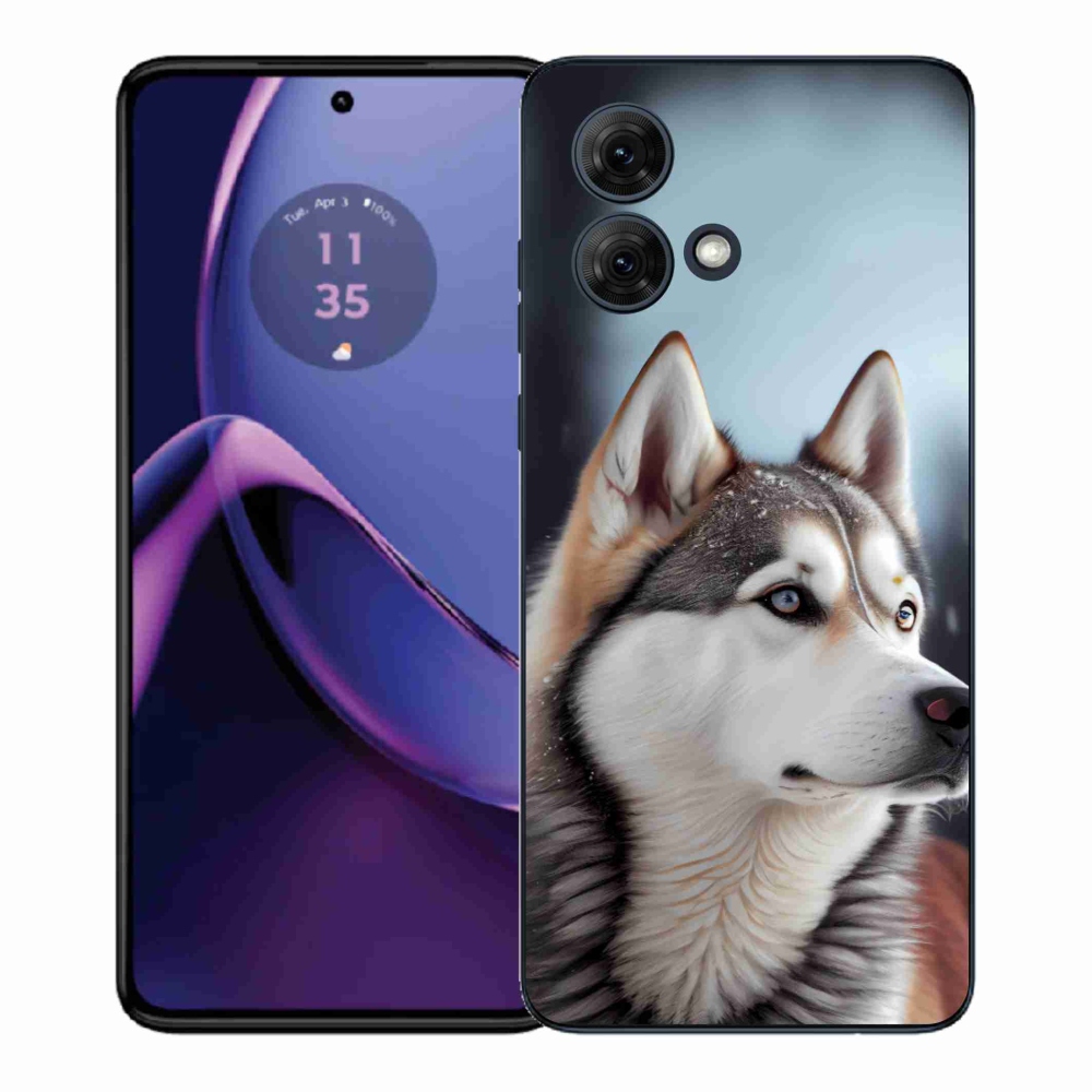 Zselés borítás mmCase a Motorola Moto G84 5G készülékhez - Szibériai Husky