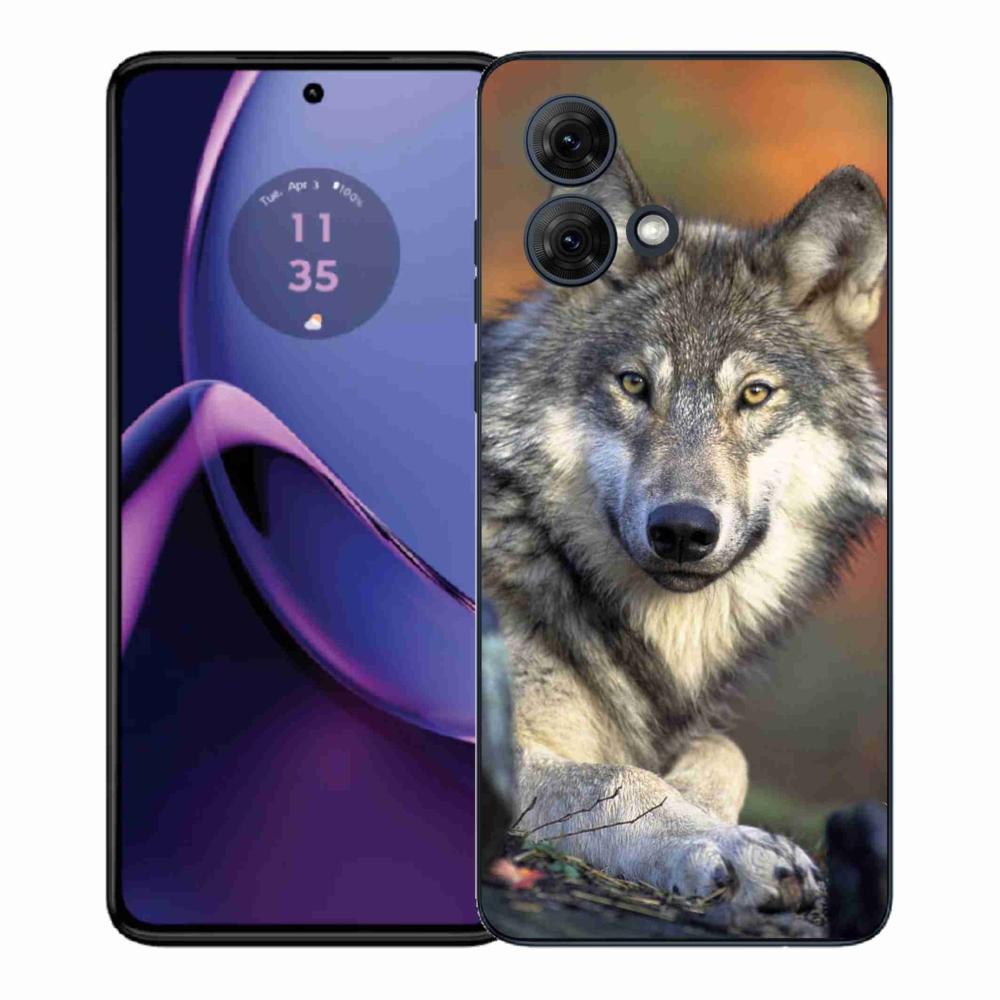 Gél védőburkolat mmCase Motorola Moto G84 5G - farkas