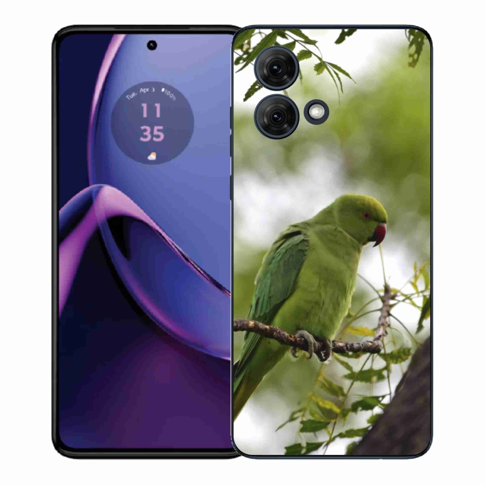 Zselés borítás mmCase Motorola Moto G84 5G - zöld papagájhoz