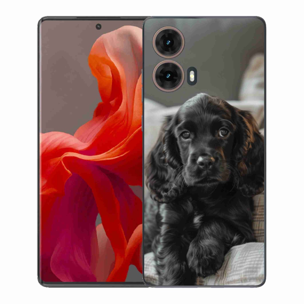 Zselés borítás mmCase a Motorola Moto G85 5G készülékhez - Angol Cocker Spaniel
