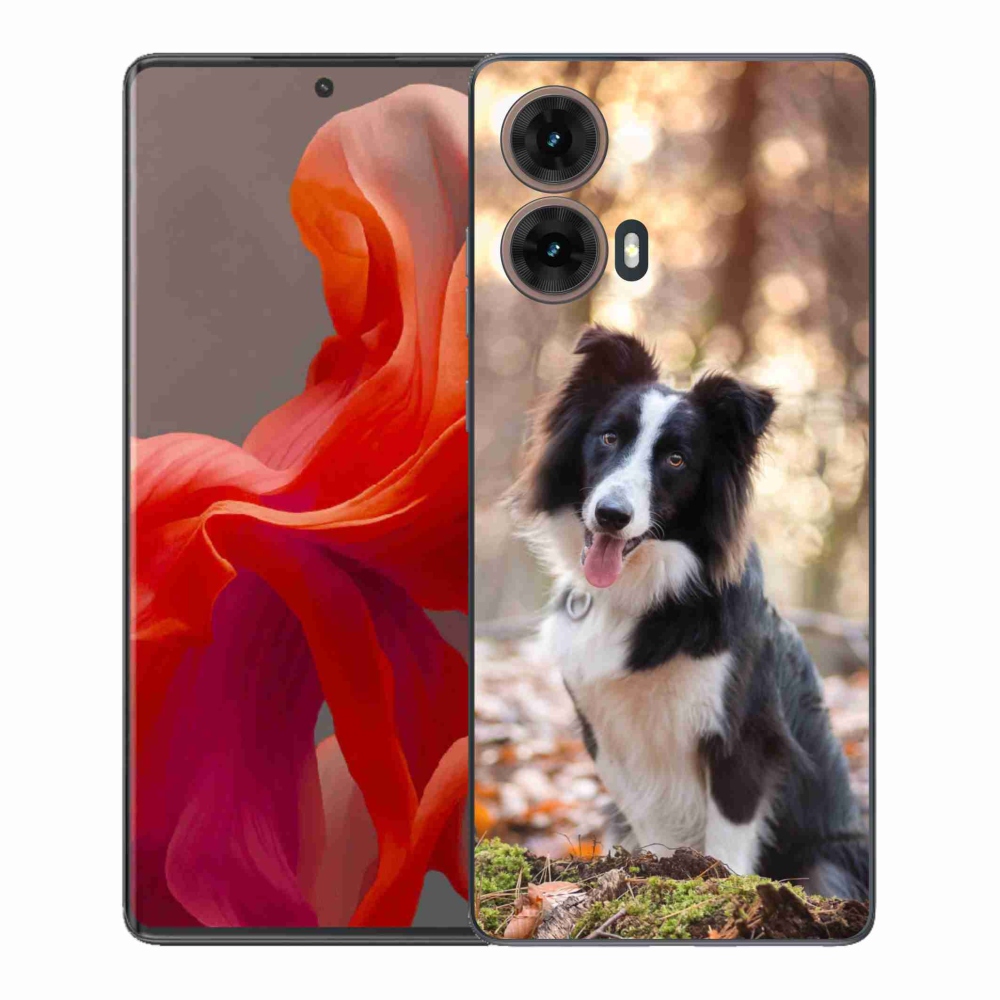 Zselés borítás mmCase Motorola Moto G85 5G - border colie 1