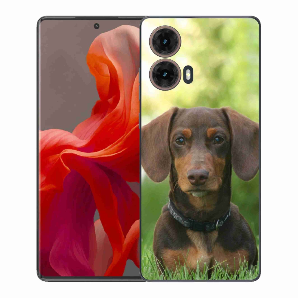 Zselés borítás mmCase a Motorola Moto G85 5G készülékhez - barna tacskó