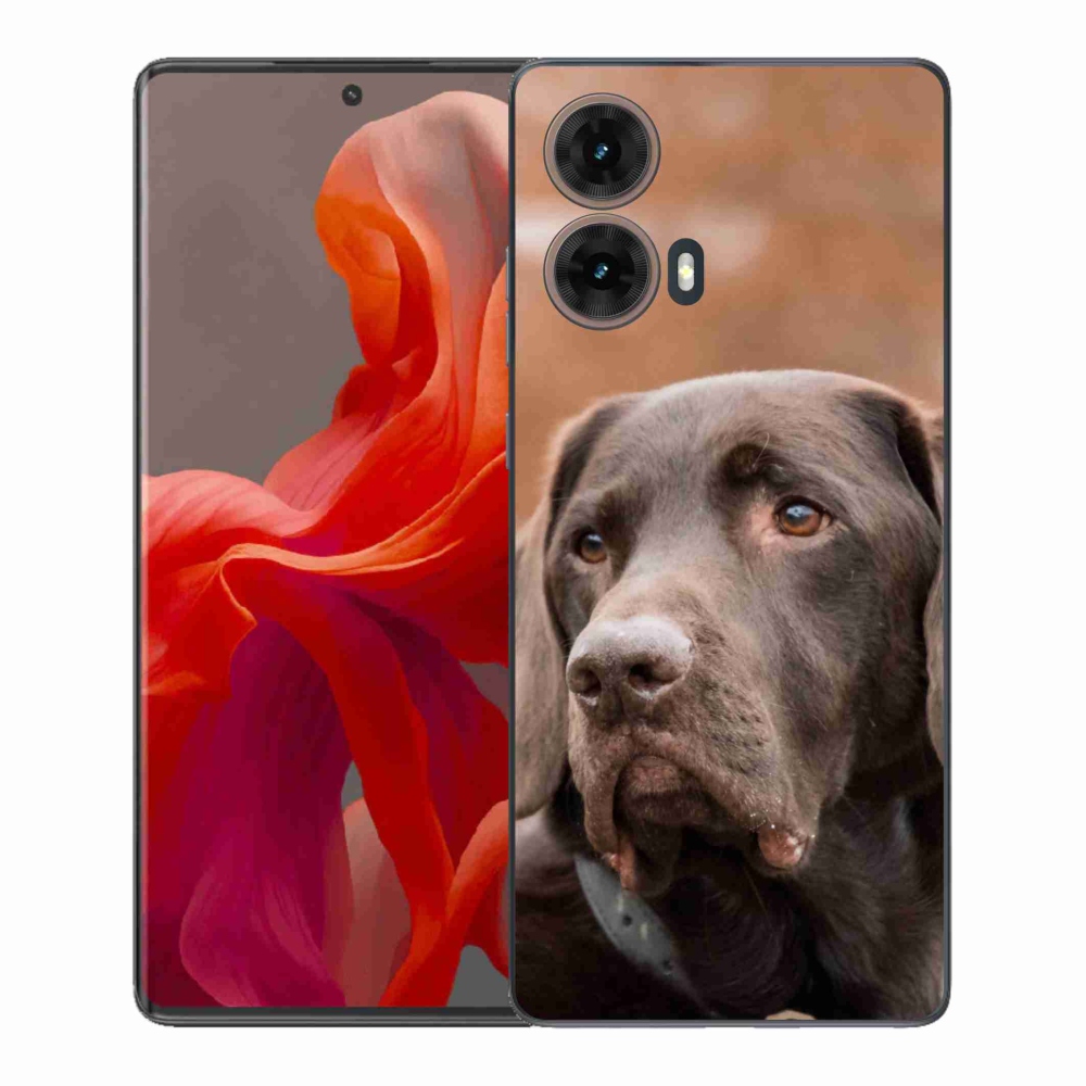 Zselés borítás mmCase a Motorola Moto G85 5G készülékhez - barna labrador