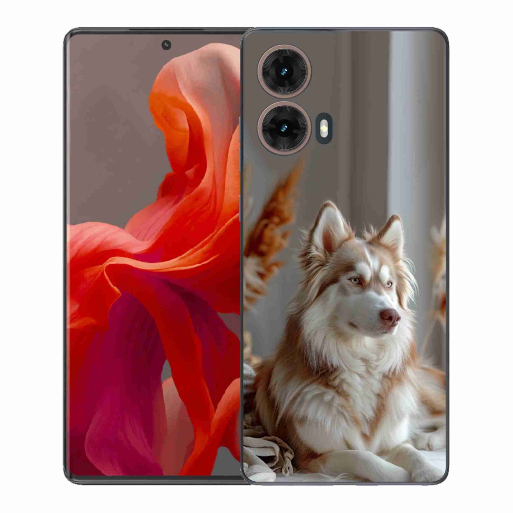 Zselés borítás mmCase a Motorola Moto G85 5G-hez - csendes szibériai husky