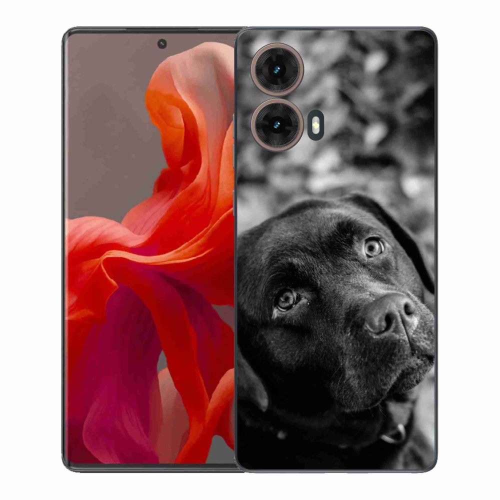 Gél védőburkolat mmCase Motorola Moto G85 5G - labrador