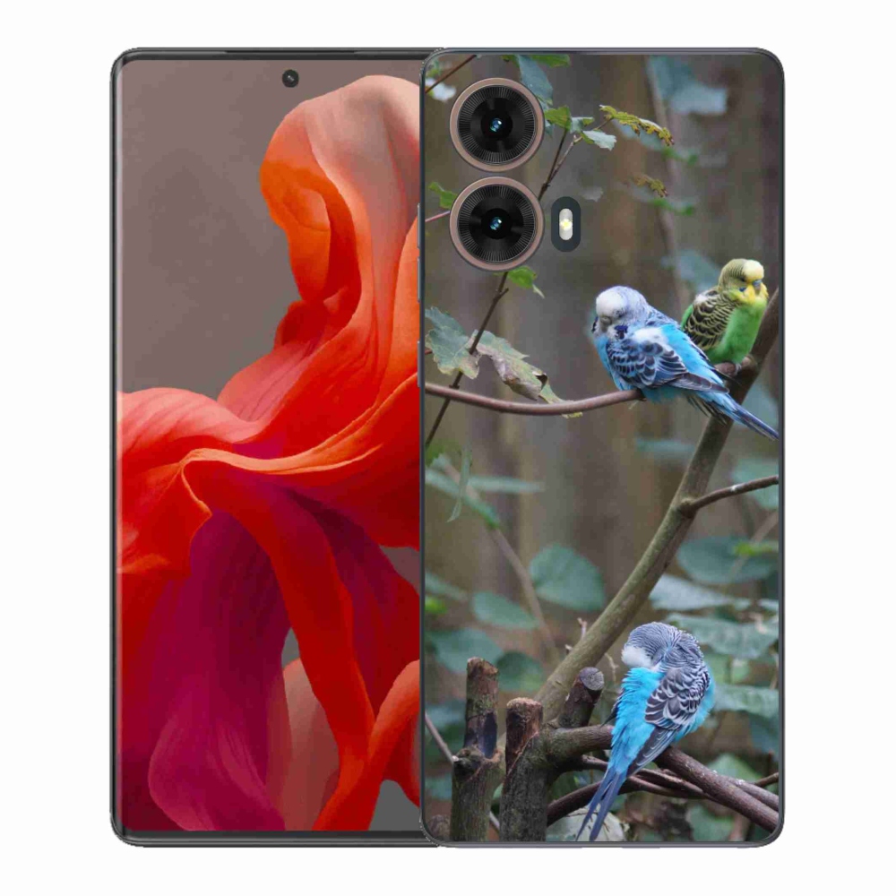 Zselés borítás mmCase a Motorola Moto G85 5G készülékhez - papagájok az ágon