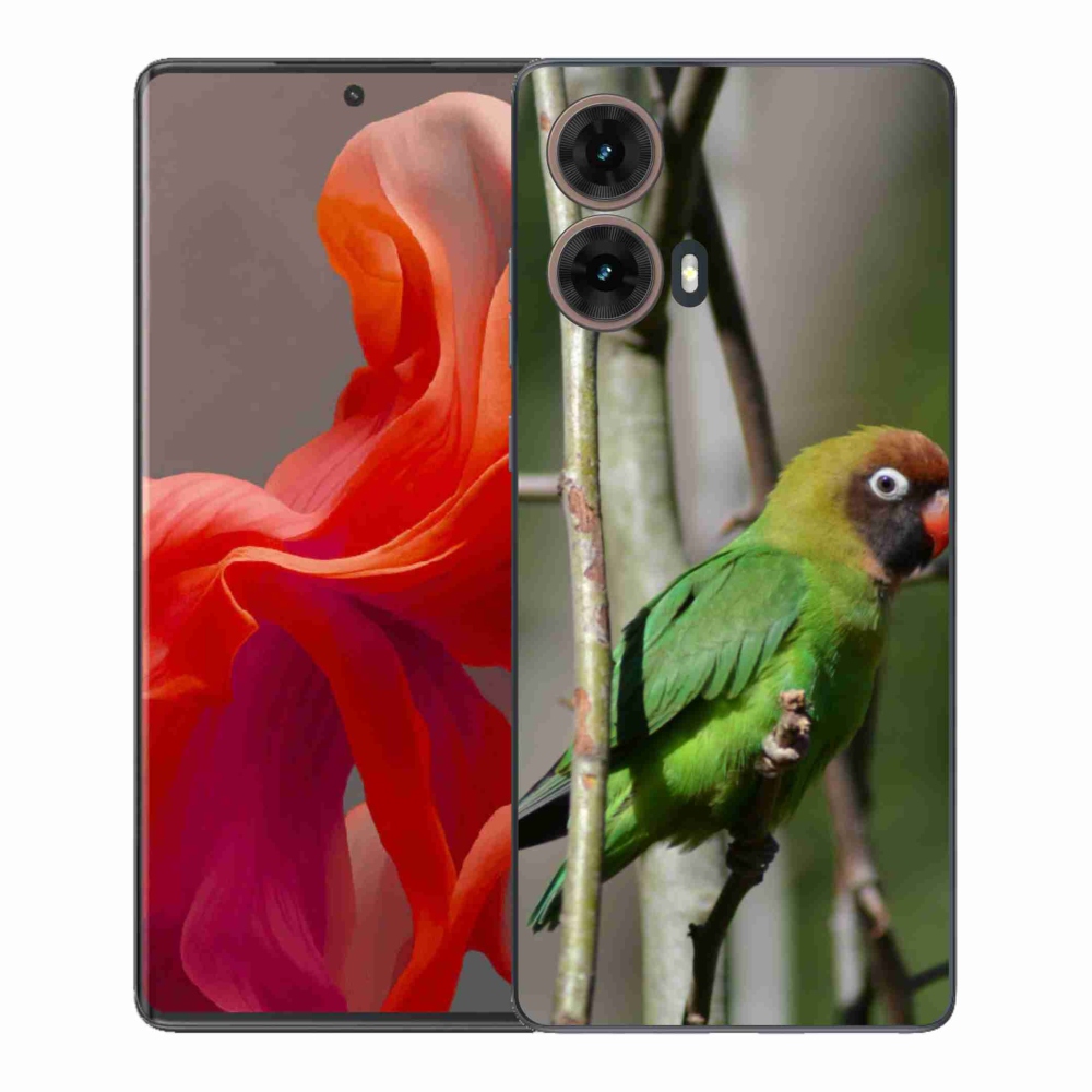 Zselés borítás mmCase Motorola Moto G85 5G - papagáj agapornis