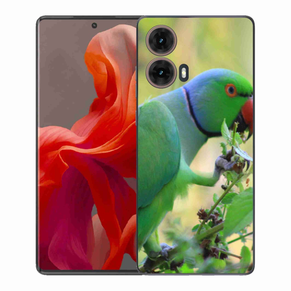 Gél védőburkolat mmCase Motorola Moto G85 5G - papagáj alexandr