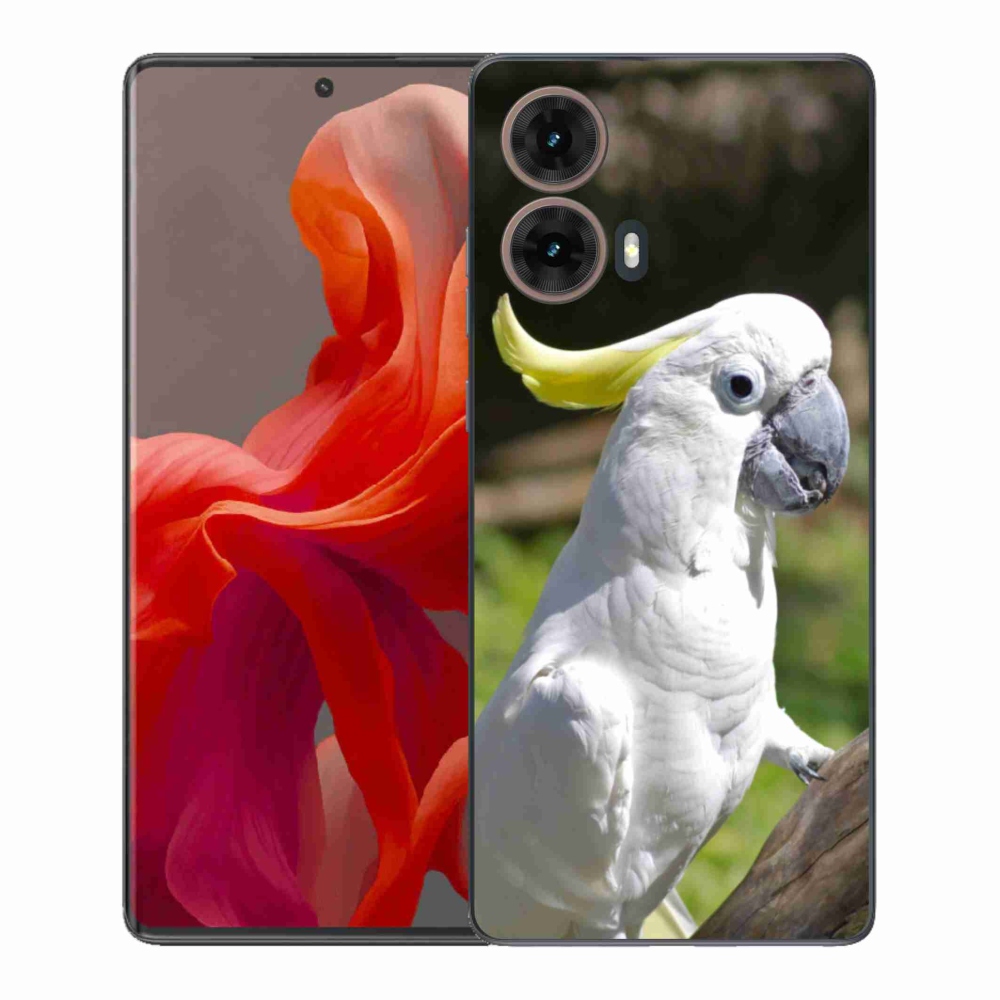 Zselés borítás mmCase Motorola Moto G85 5G - papagáj kakadu 2