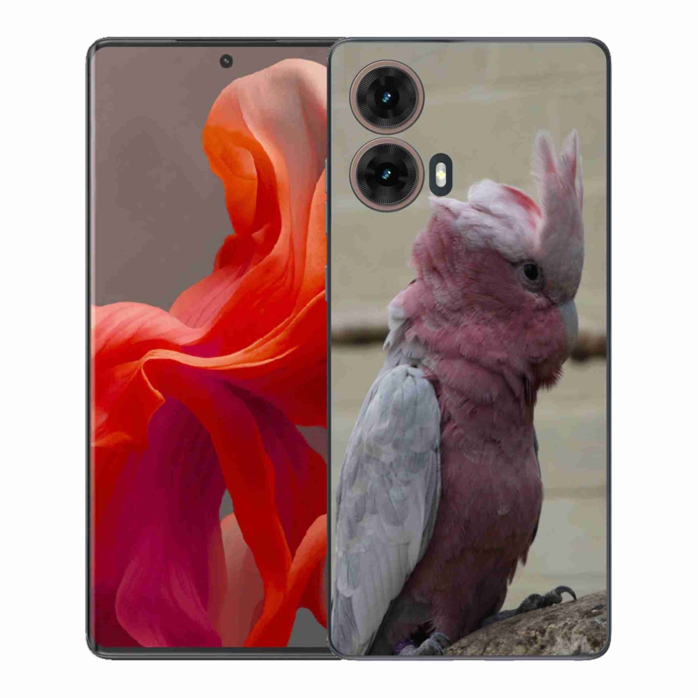 Zselés borítás mmCase a Motorola Moto G85 5G készülékhez - papagáj kakadu rózsaszínű