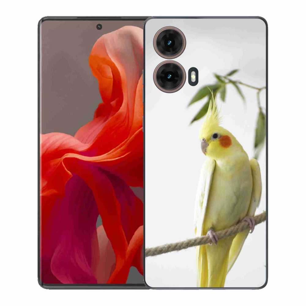 Gél borítás mmCase Motorola Moto G85 5G - papagáj korela chocholatá