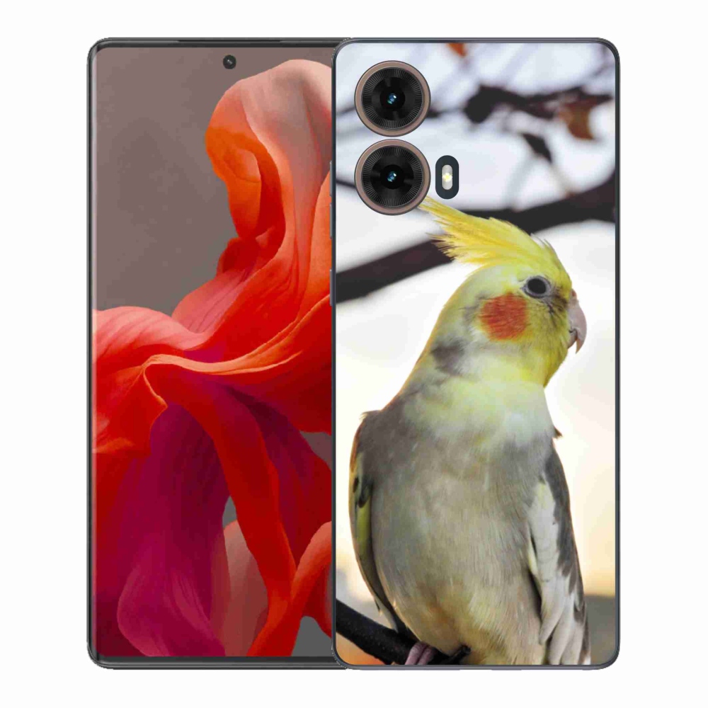 Zselés borítás mmCase Motorola Moto G85 5G - papagáj korela