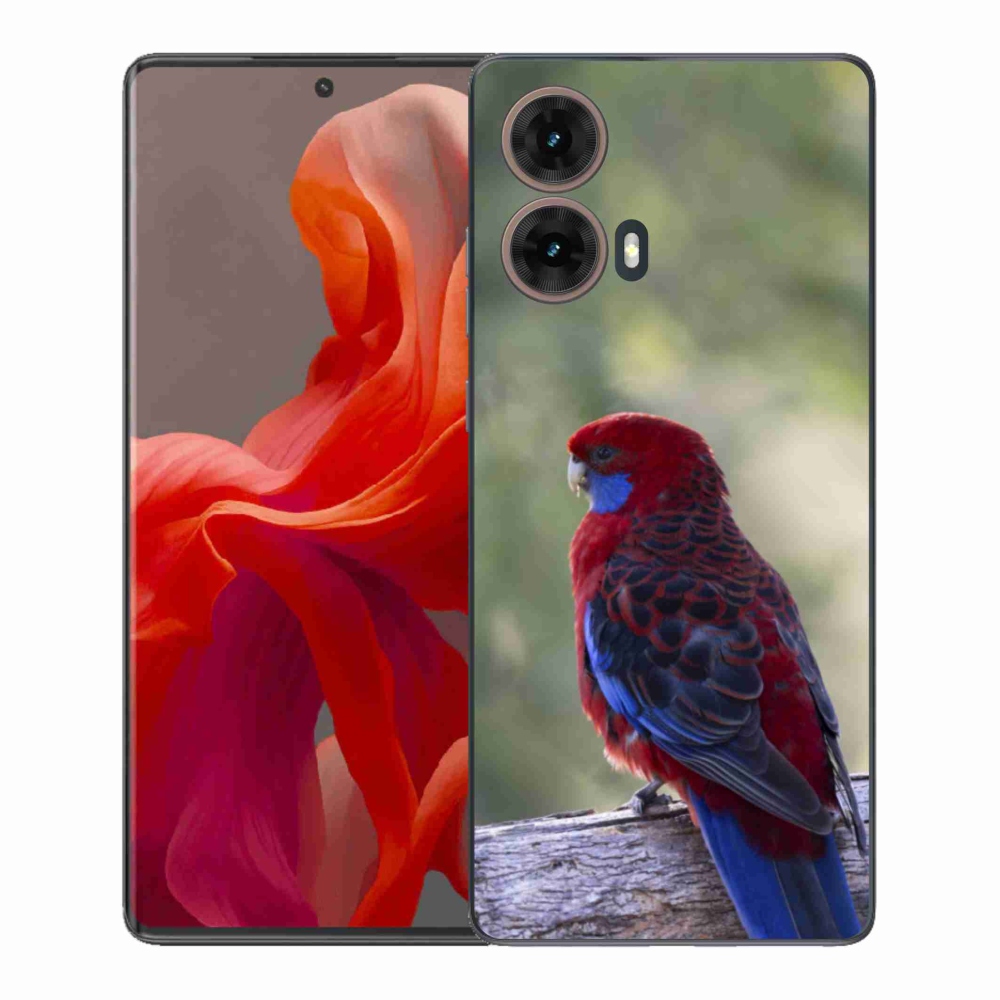 Gél védőburkolat mmCase Motorola Moto G85 5G - papagáj rosela