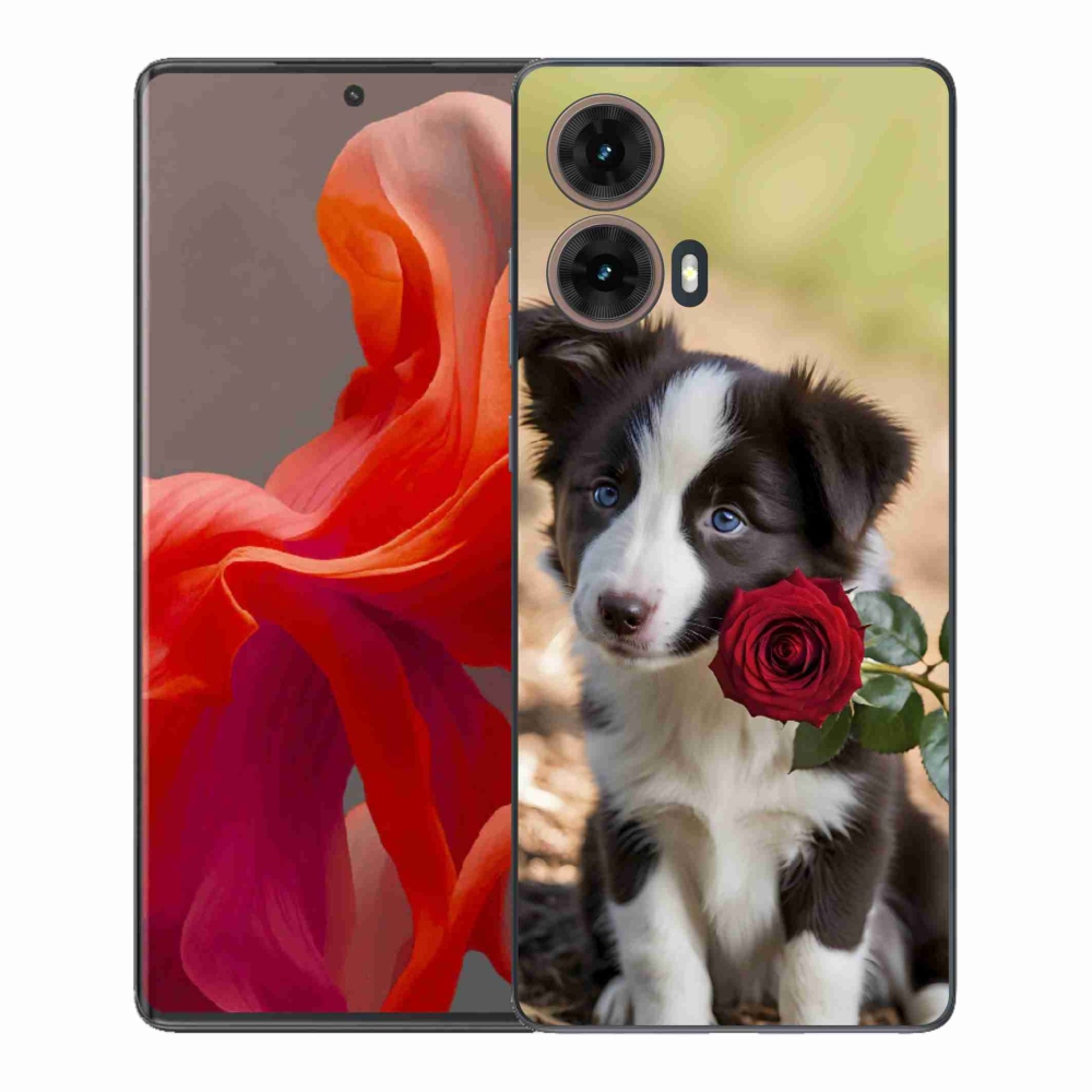 Gél borítás mmCase a Motorola Moto G85 5G-hez - aranyos border collie rózsával