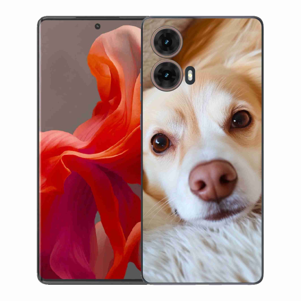 Zselés borítás mmCase a Motorola Moto G85 5G készülékhez - Aranyos csivava