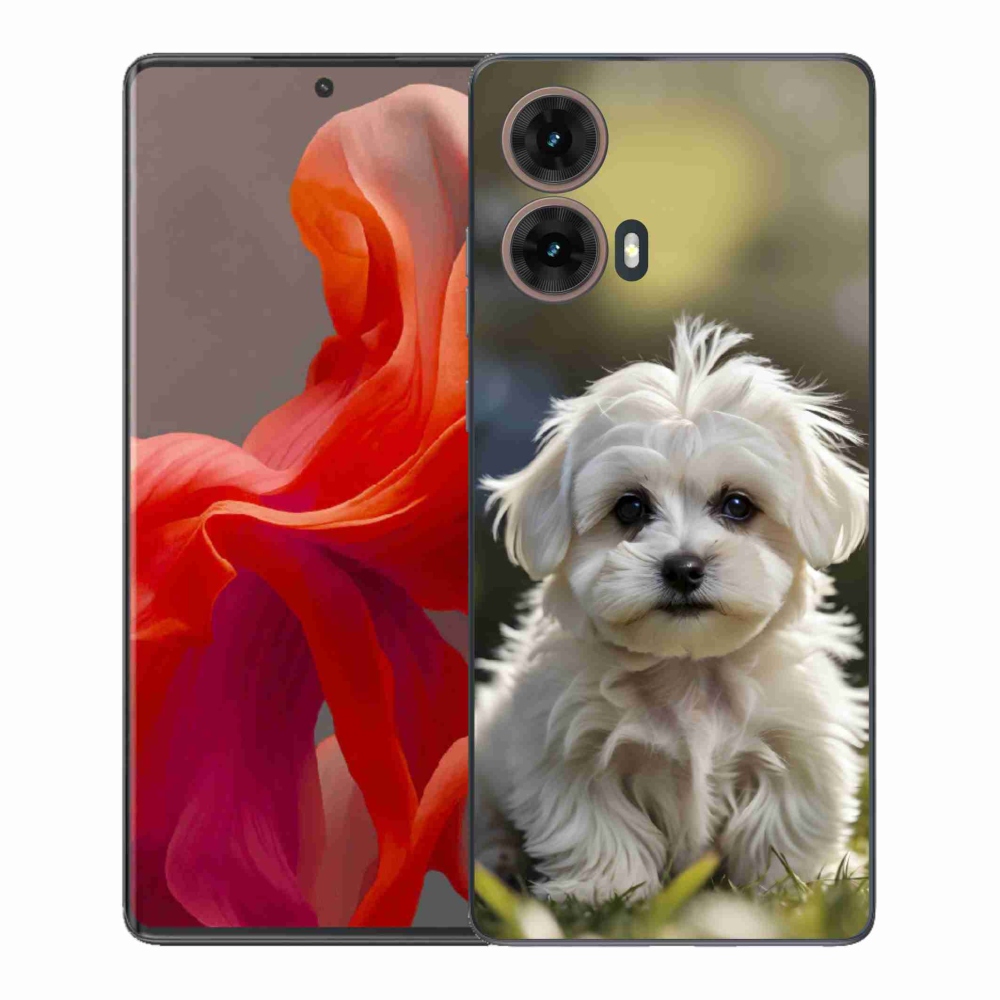 Zselés borítás mmCase Motorola Moto G85 5G - aranyos máltai kutya
