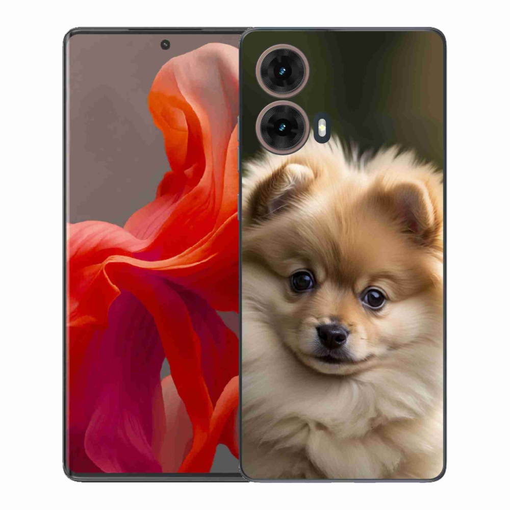 Zselés borítás mmCase Motorola Moto G85 5G - aranyos pomerániai 2