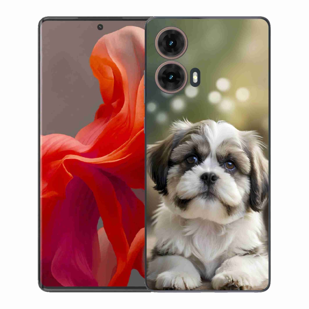 Gél borítás mmCase a Motorola Moto G85 5G-hez - aranyos shih-tzu