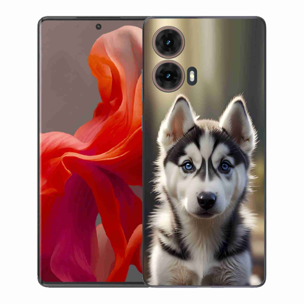 Gél borítás mmCase a Motorola Moto G85 5G-hez - aranyos szibériai husky
