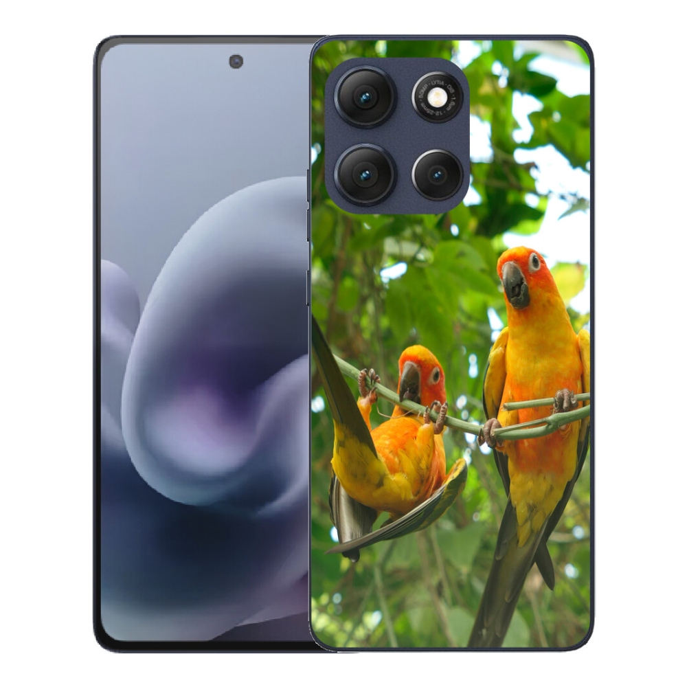 mmCase géltok a Motorola Moto G86 5G-hez – aratinga papagájok