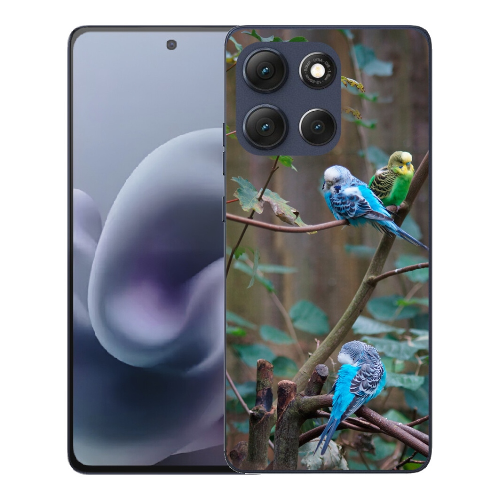mmCase gél tok a Motorola Moto G86 5G-hez – papagájok az ágon
