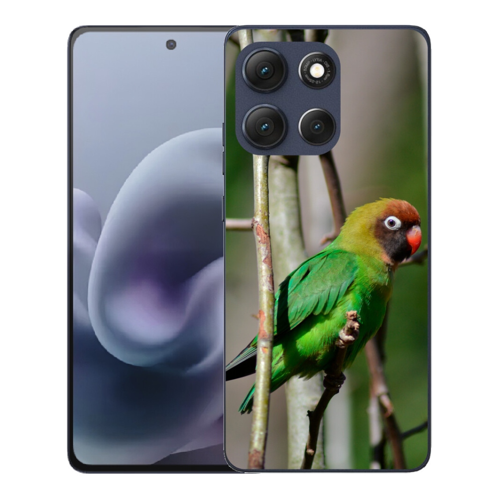 mmCase géltok a Motorola Moto G86 5G-hez – agapornis papagáj