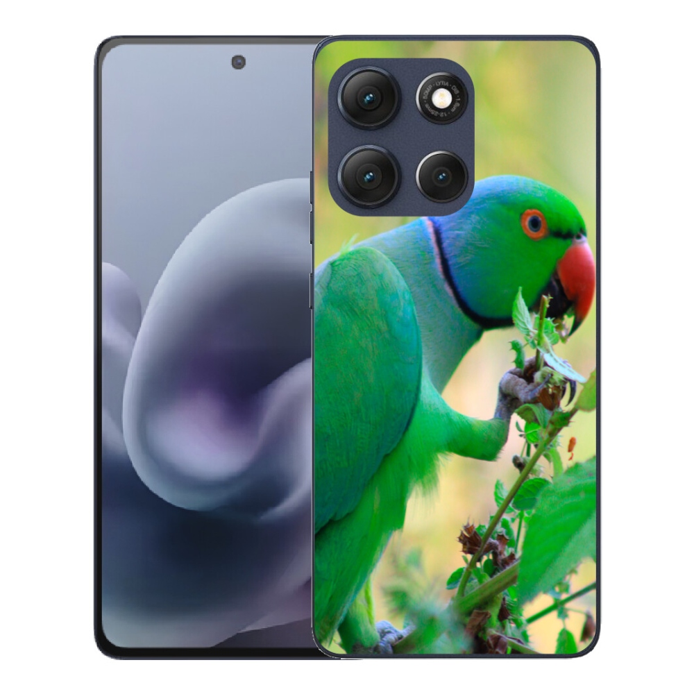 mmCase gélhuzat a Motorola Moto G86 5G-hez – alexandri papagáj