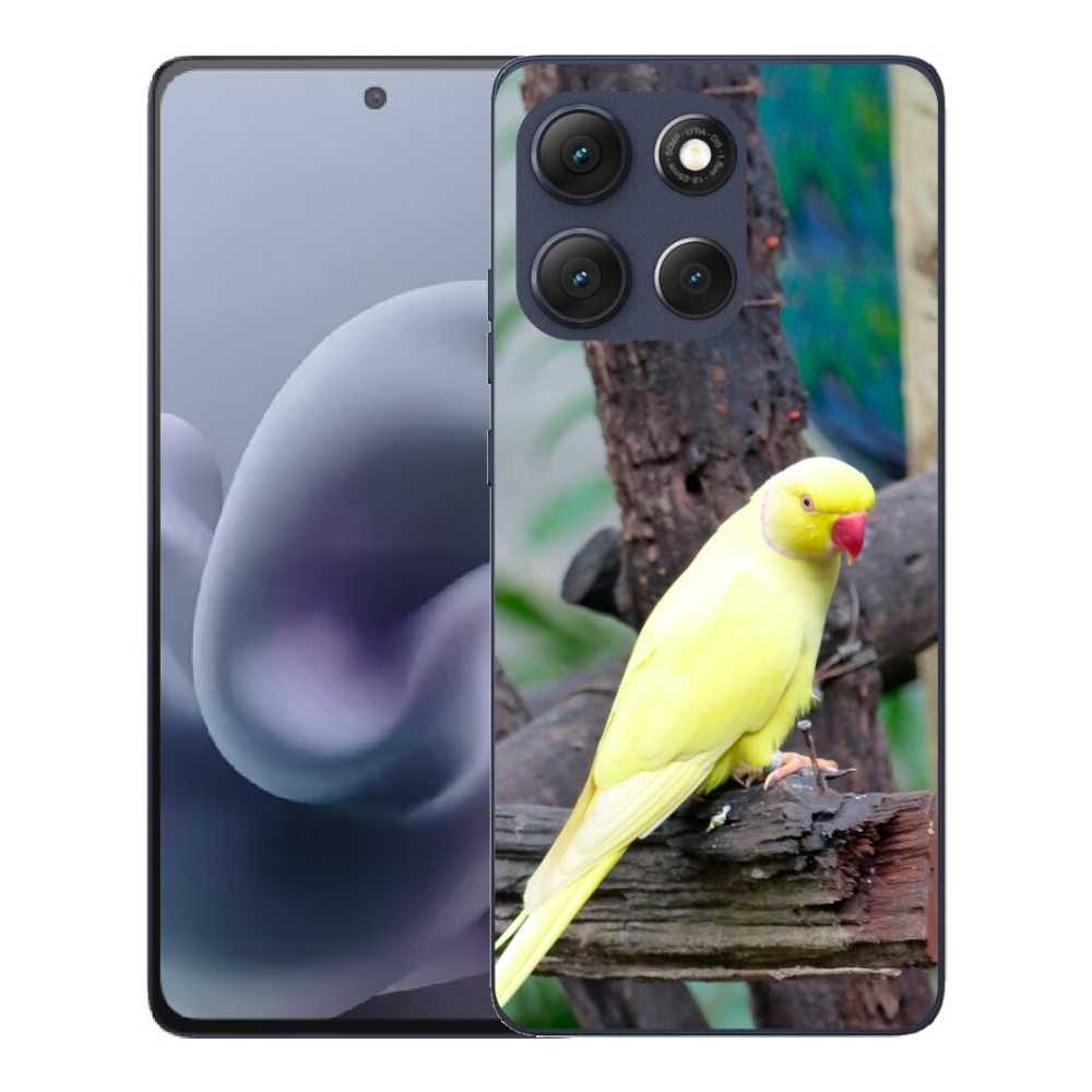 mmCase géltok a Motorola Moto G86 5G-hez – sárga alexandri papagáj