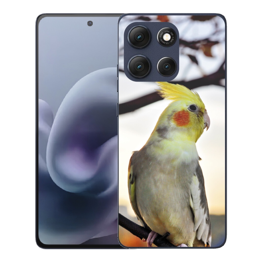 mmCase gélhuzat a Motorola Moto G86 5G-hez – korella papagáj