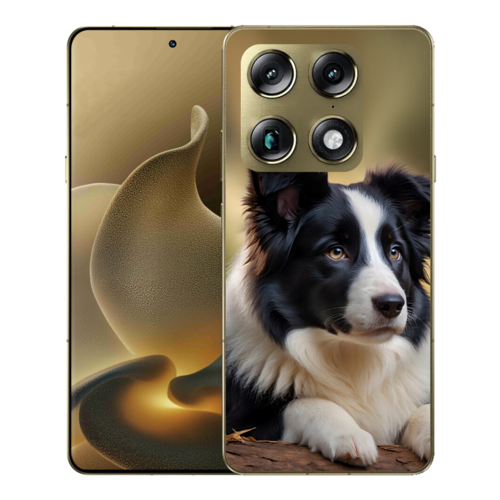 mmCase gél tok a Motorola Signature - border collie 2-hez