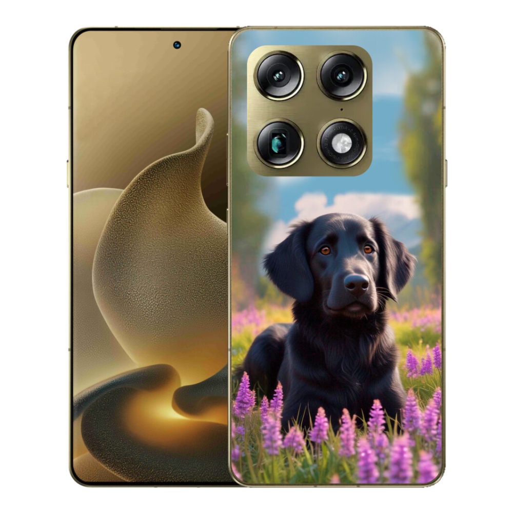 mmCase gélhuzat a Motorola Signature-hez – elegáns fekete retriever