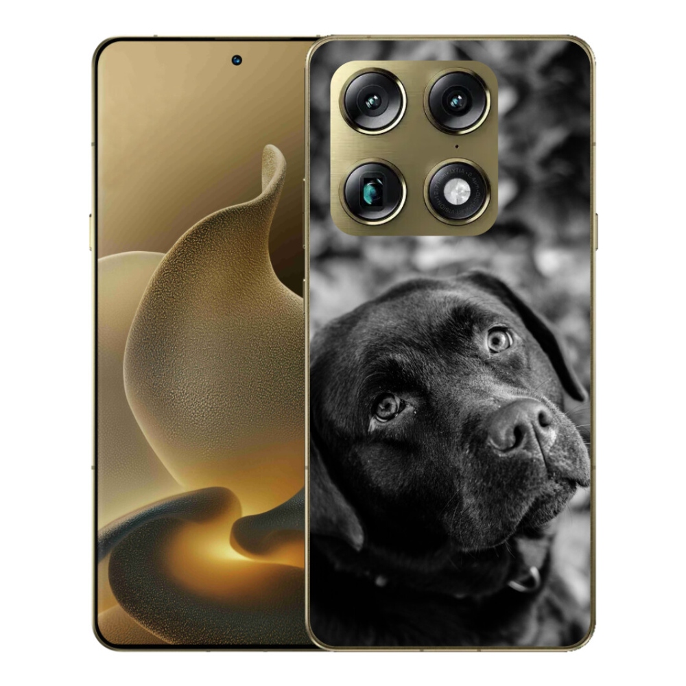 mmCase gél tok a Motorola Signature-hez – labrador