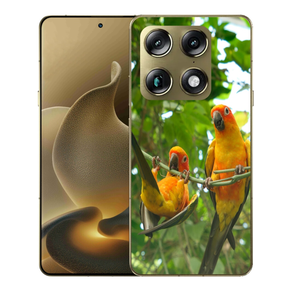 mmCase gélhuzat a Motorola Signature-hez – aratinga papagájok