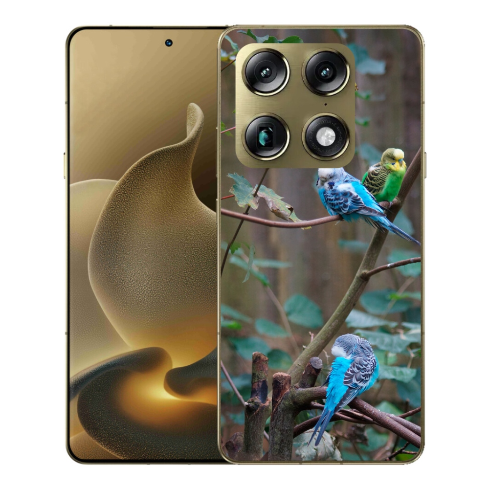 mmCase gél tok a Motorola Signature-hez – papagájok az ágon