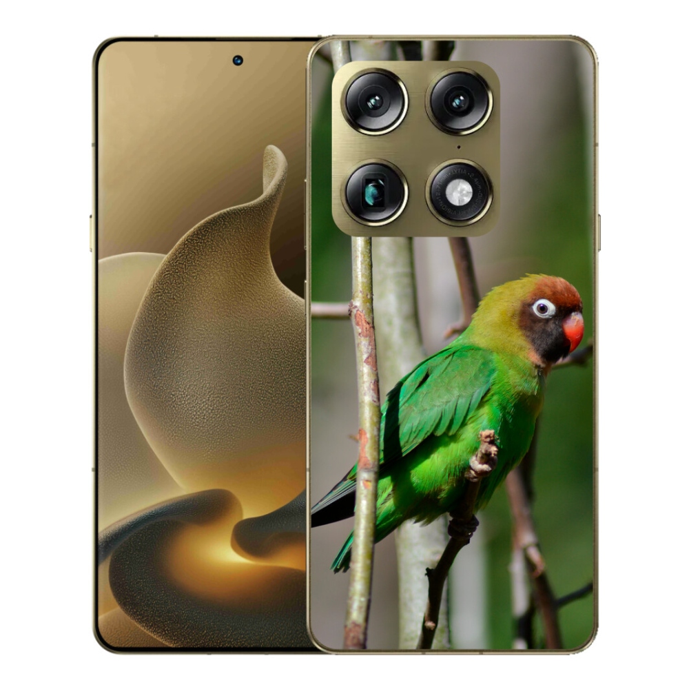 mmCase gél tok a Motorola Signature-hez – agapornis papagáj