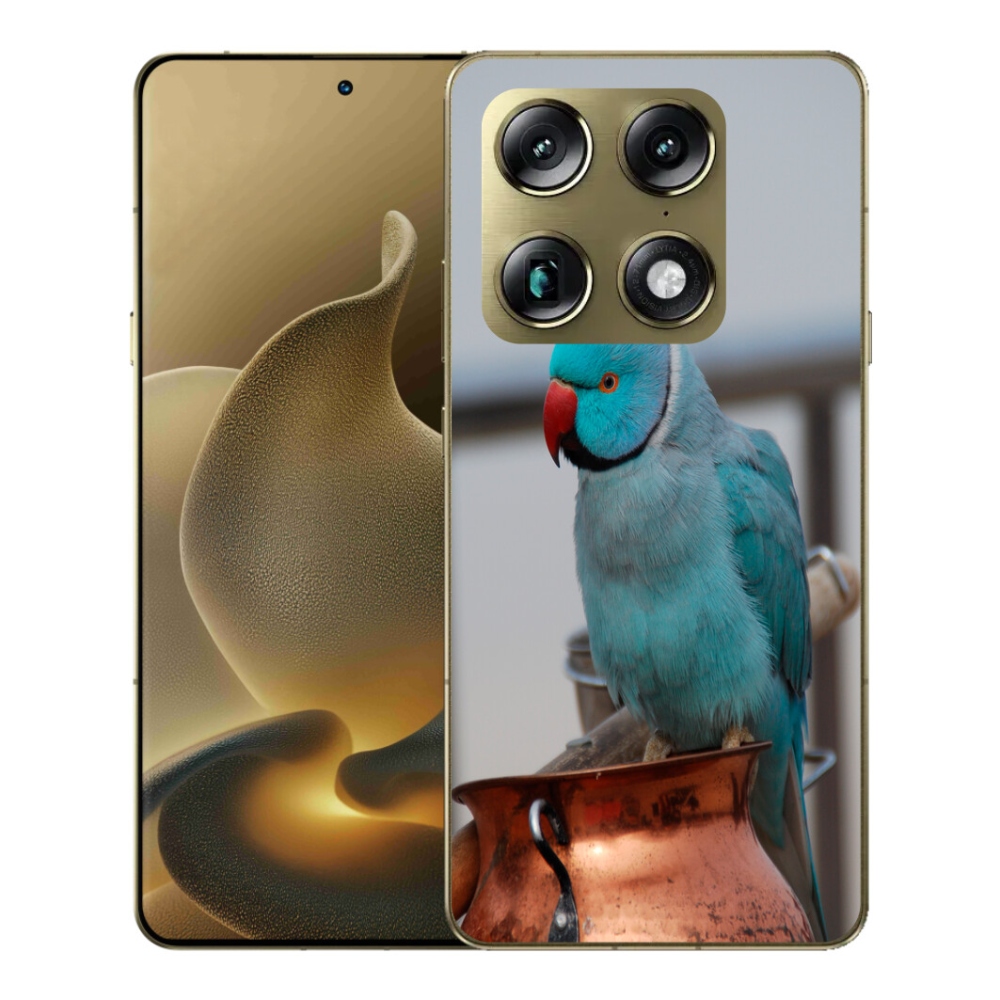 mmCase gél tok a Motorola Signature-hez – kék alexandri papagáj