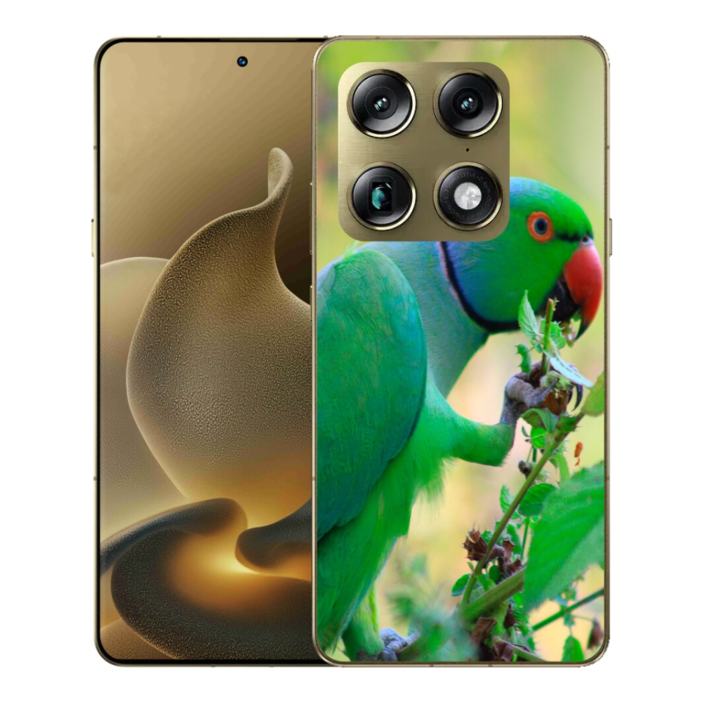 mmCase gélhuzat a Motorola Signature-hez – alexandri papagáj