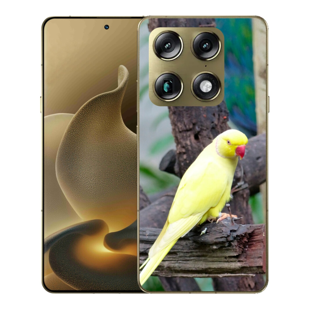 mmCase gél tok a Motorola Signature-hez – sárga alexandri papagáj