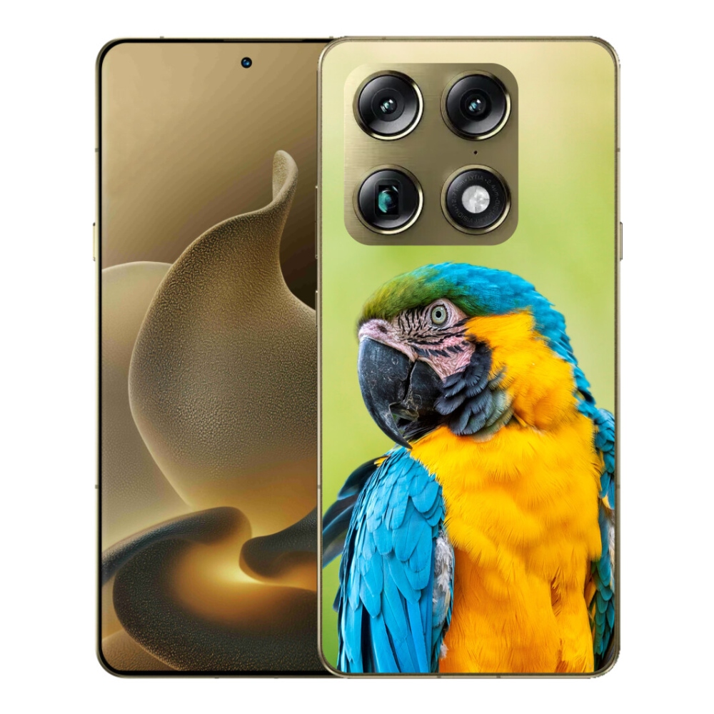 mmCase gél tok a Motorola Signature-hez – ara papagáj 2