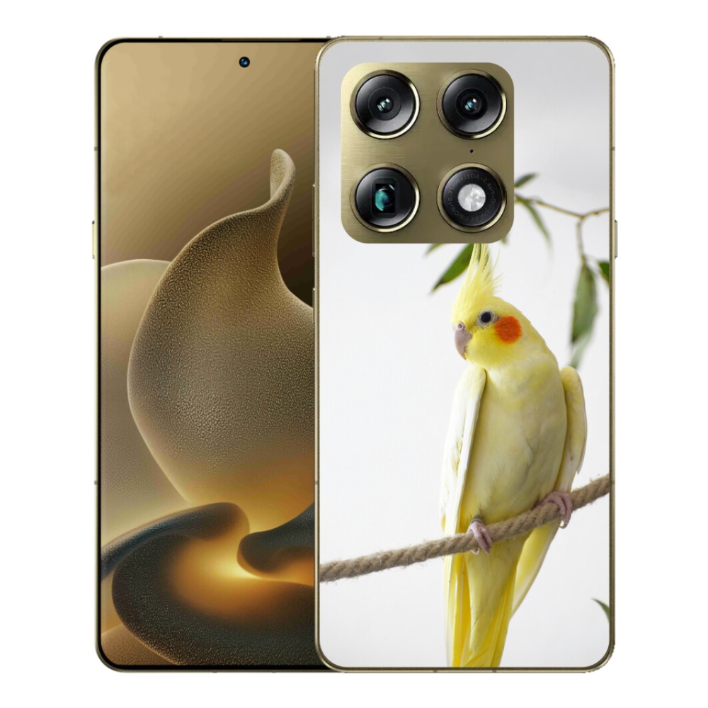 mmCase gél tok a Motorola Signature-hez – tollas papagáj