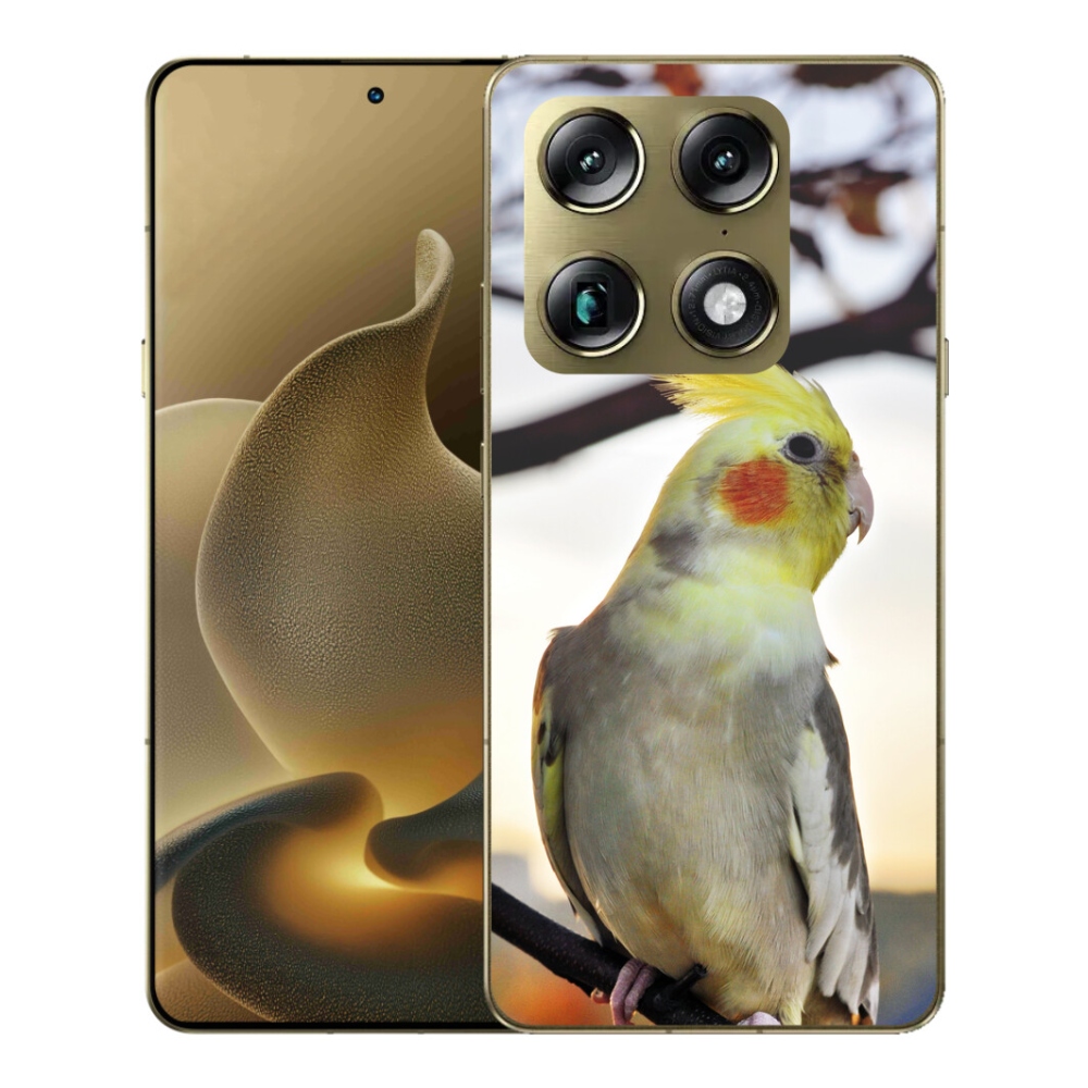 mmCase gélhuzat a Motorola Signature-hez – korella papagáj