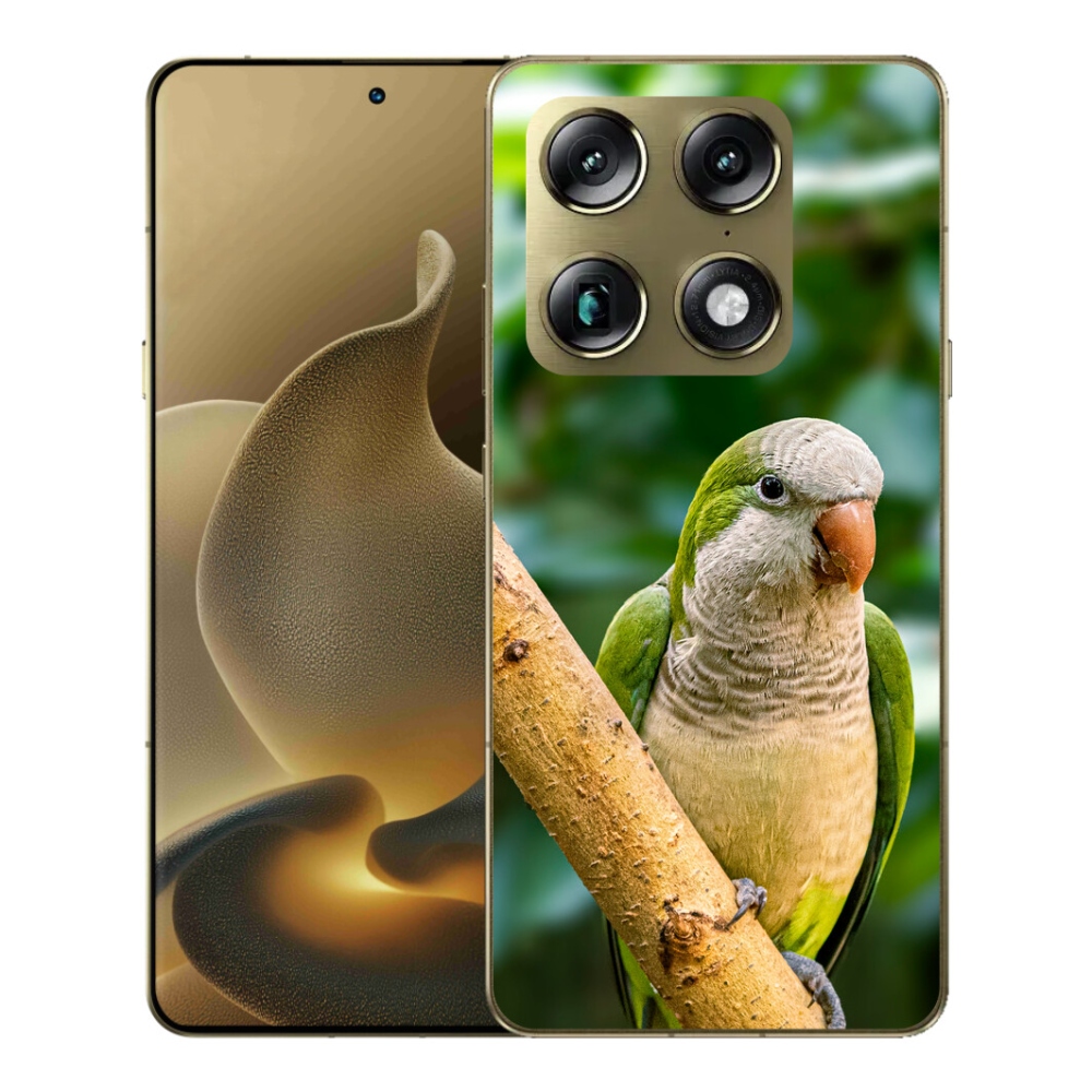 mmCase gél tok a Motorola Signature-hez – papagáj