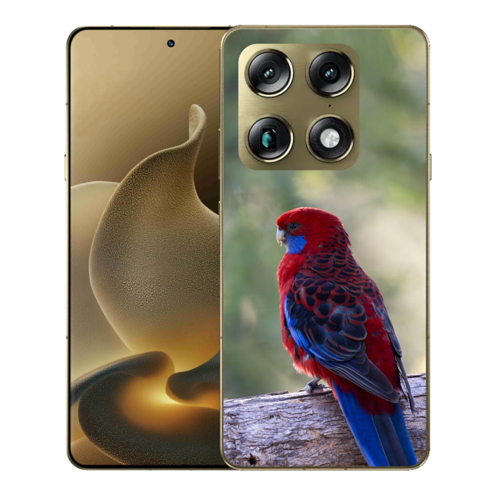 mmCase gélhuzat a Motorola Signature-hez – rosella papagáj