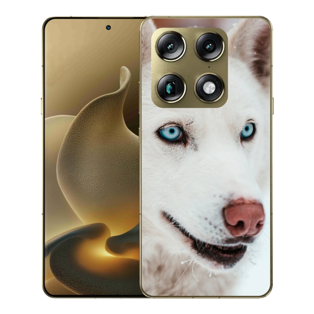 A mmCase gélhuzat a Motorola Signature-hez – kutyaszemszögből