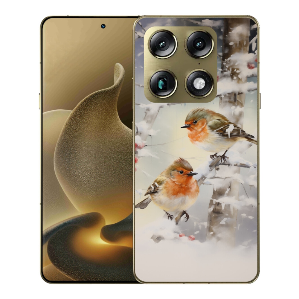 mmCase gélhuzat a Motorola Signature-hez – madarak télen